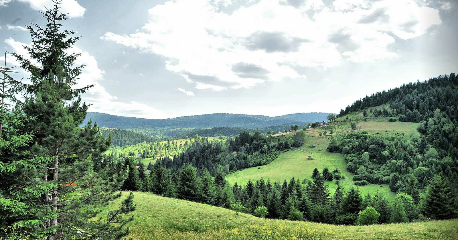 Planina Zlatar