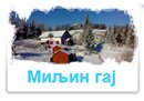 Миљин гај