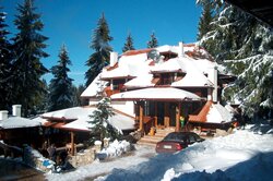Вила Јелена