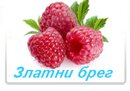 Златни брег
